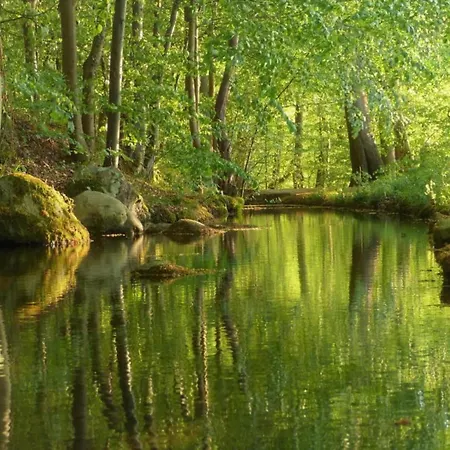 Beautiful Authentic Mill Close To The * Wangels