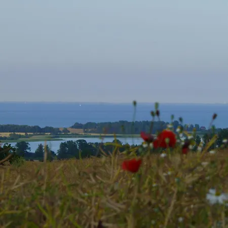 Near Coast *
